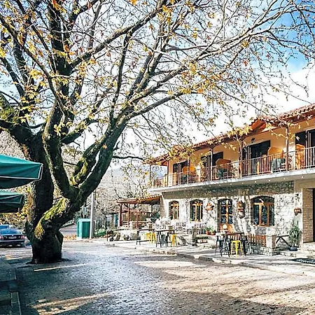 Hotel Mountain 